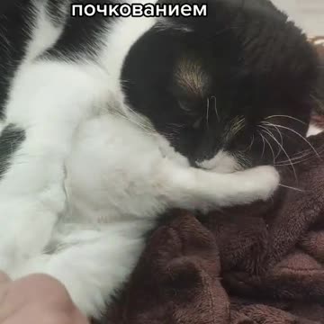 So that's where they come from