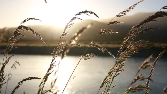 Relaxation&Meditation with nature