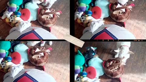 today video