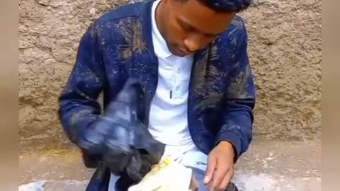 It is impossible to pass without seeing an amazing funny video