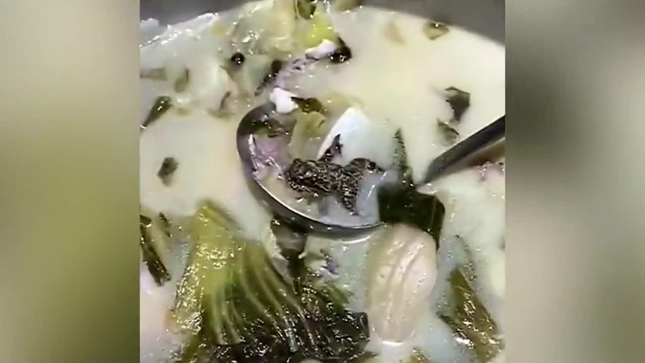 Diner horrified after finding dead toad floating in her dish at a Chinese restaurant