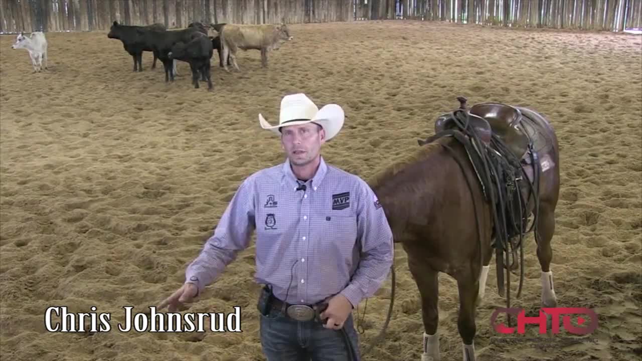 How To Teach A Cutting Horse Horse To Spread His Hind Feet With Chris Johnsrud
