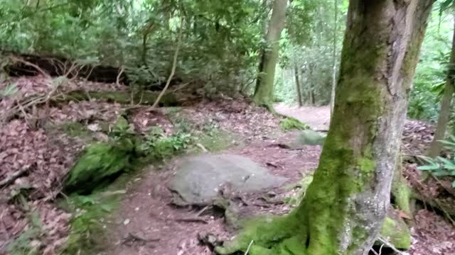 Cades Cove GSMNP