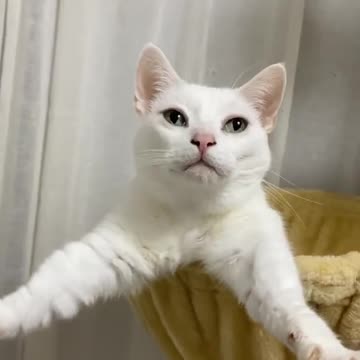 Someone needs a hug 😂