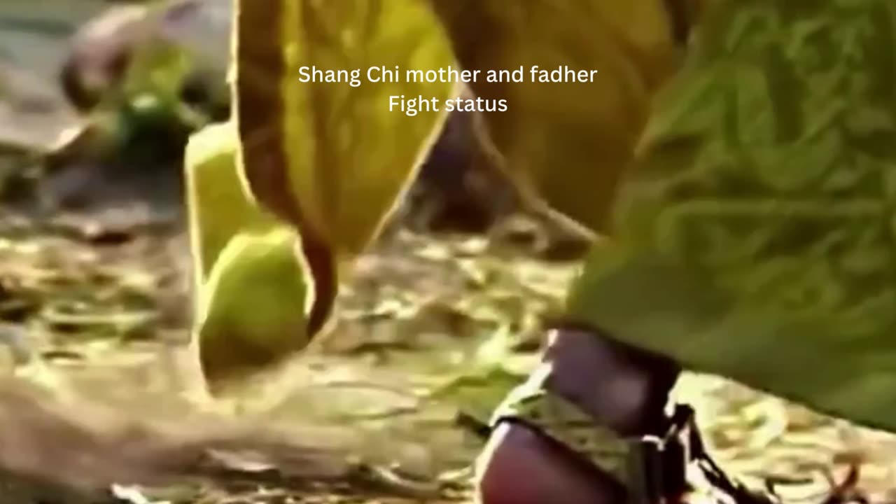 shang chi Wenwu vs Ying li movie scene