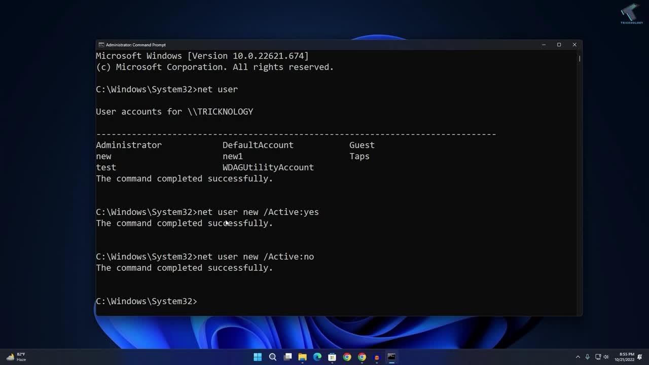 How to Activate or Inactive Users in Windows 11