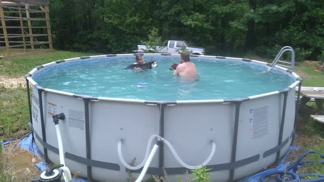 Loki & Ellie Swimming in the Pool