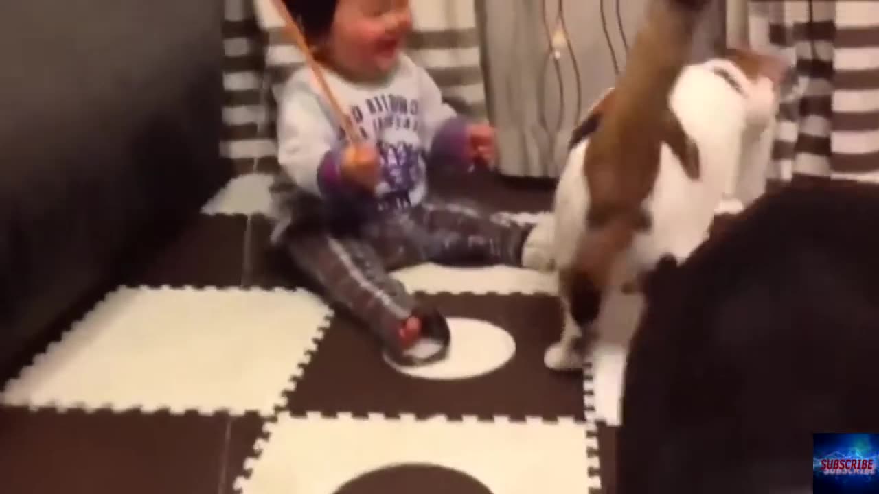 Best Babies and Animals Compilation Videos