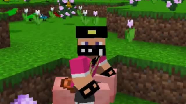Minecraft but If you Liked Game changed #shorts