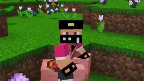 Minecraft but If you Liked Game changed #shorts