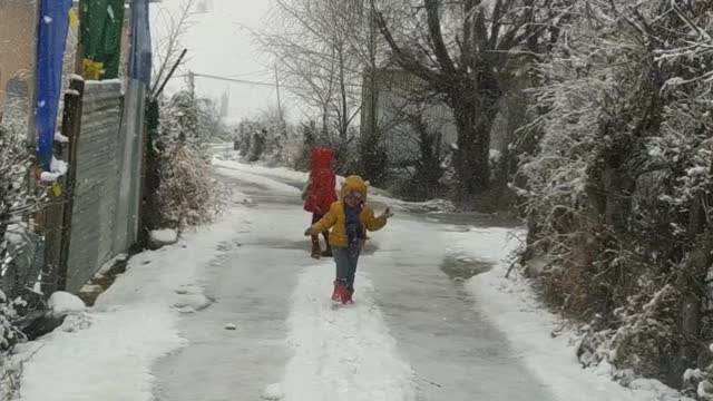 Happy is walking in the snow