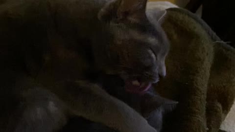 Love is in the house!