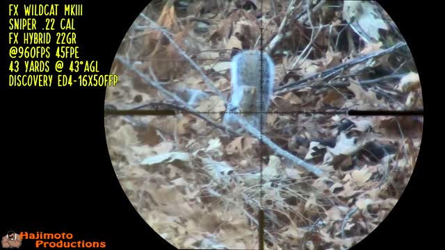 Hajimoto Hunting - Gray Squirrel #7