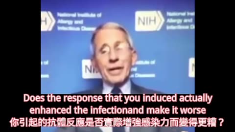 What did Fauci say?