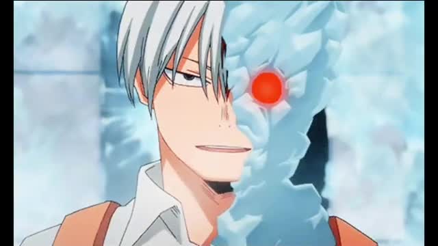 Shoto todorki