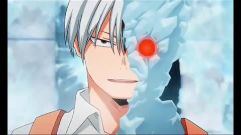 Shoto todorki