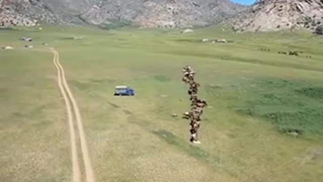 Mongol Derby | August 10, 2022 | Katherine Times