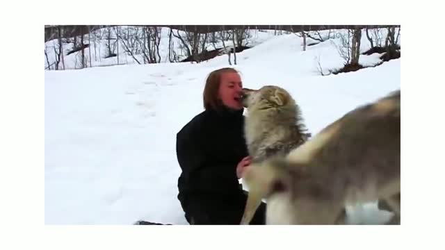 ANIMALS REUNITED WITH THEIR OWNERS AFTER YEARS!