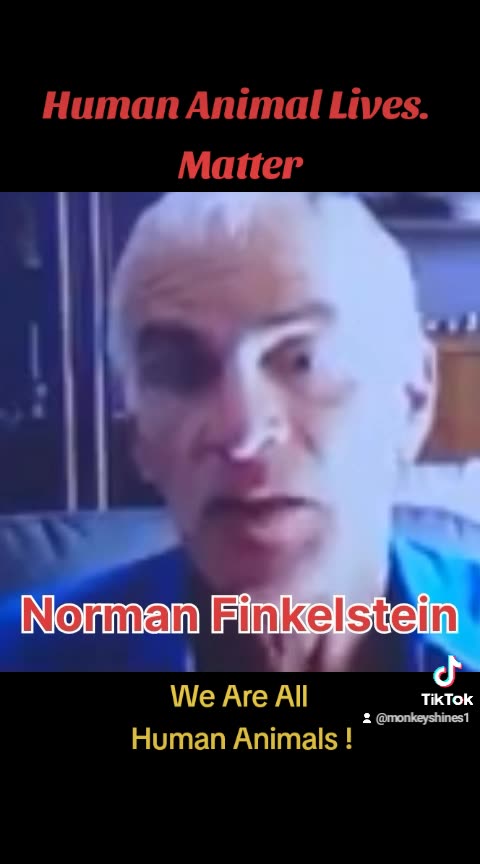 Palestine, Jews, Holocaust, Genocide, Norman Finkelstein