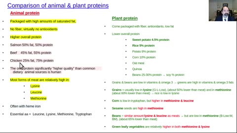 What's difference between animal & plant protein effects on health?