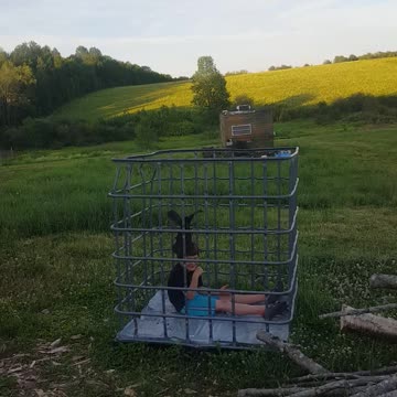 my Son with his chicken