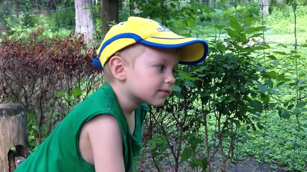 Watch NOT TO LAUGH | Funny Babies At The Zoo - LAUGH TRIGGER