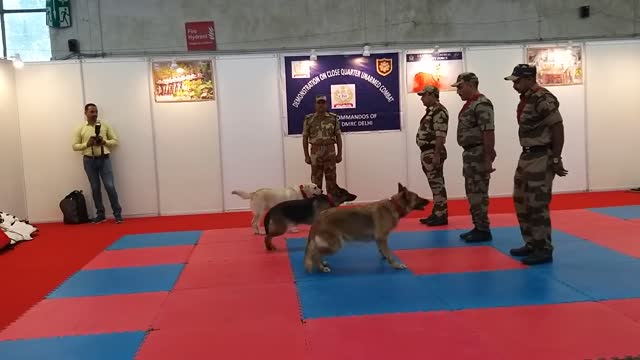 Dog Squad demonstration by the CISF