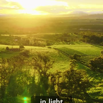 Trials Only Come If He Allows It #job #paulandsilas #purpose #Godisgood