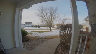 Dog Rings Doorbell with His Nose