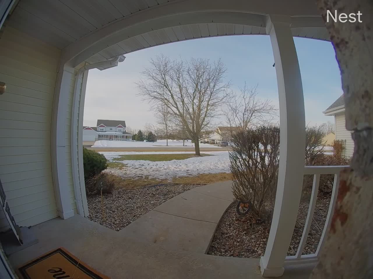 Dog Rings Doorbell with His Nose