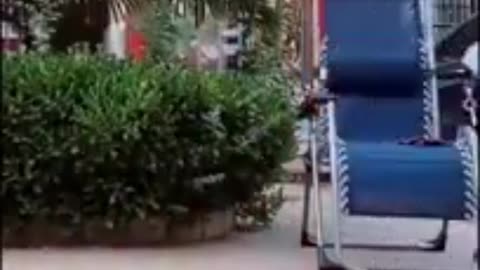 Funny Videos 2024🤣😂