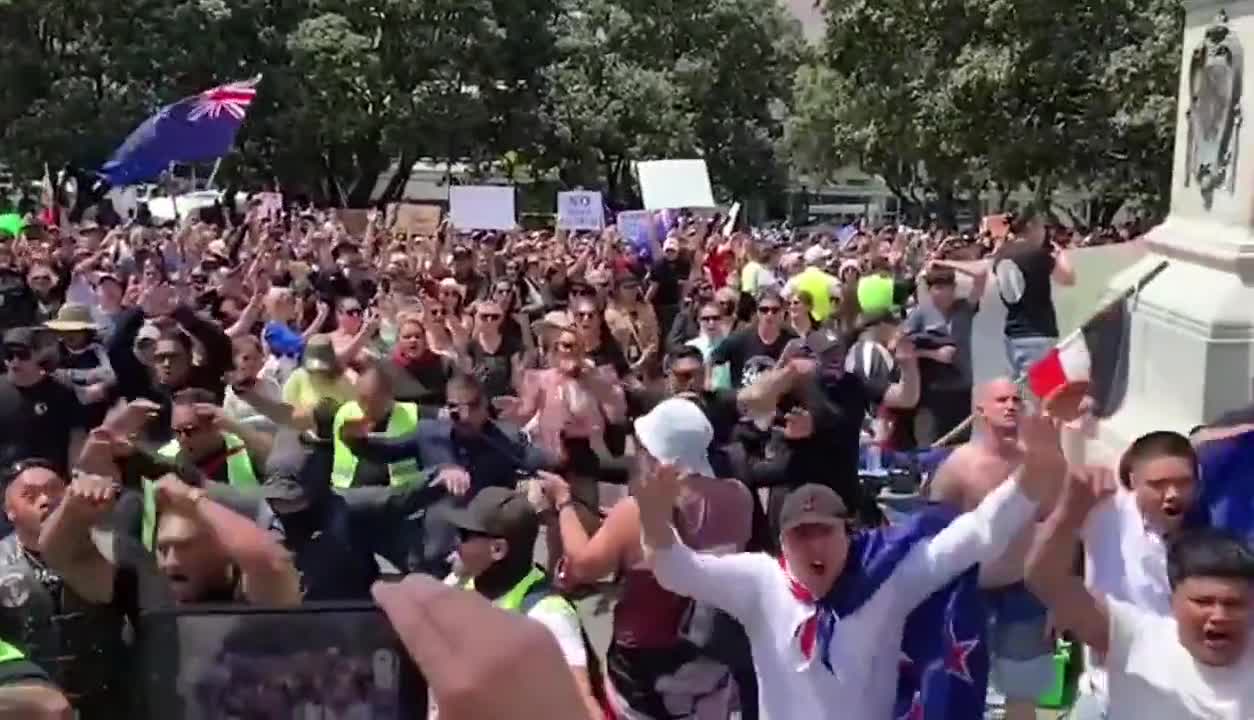 Protest against COVID-19 measures and restrictions outside Wellington Parliament in New Zealand.