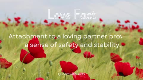 Love quotes and facts