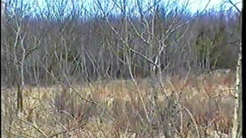 Last-Studio, Video-N.5 (2001)