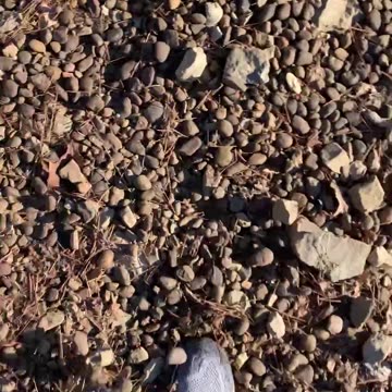 Sneak peek at Talkua Man's busy schedule