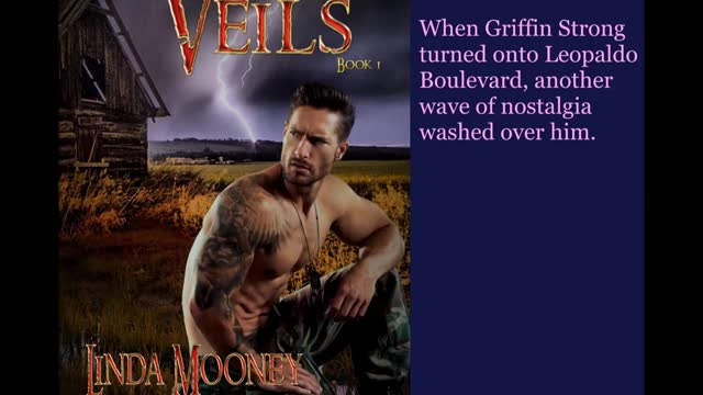 VEILS, Book 1, a Sci-Fi /Time Travel Romance