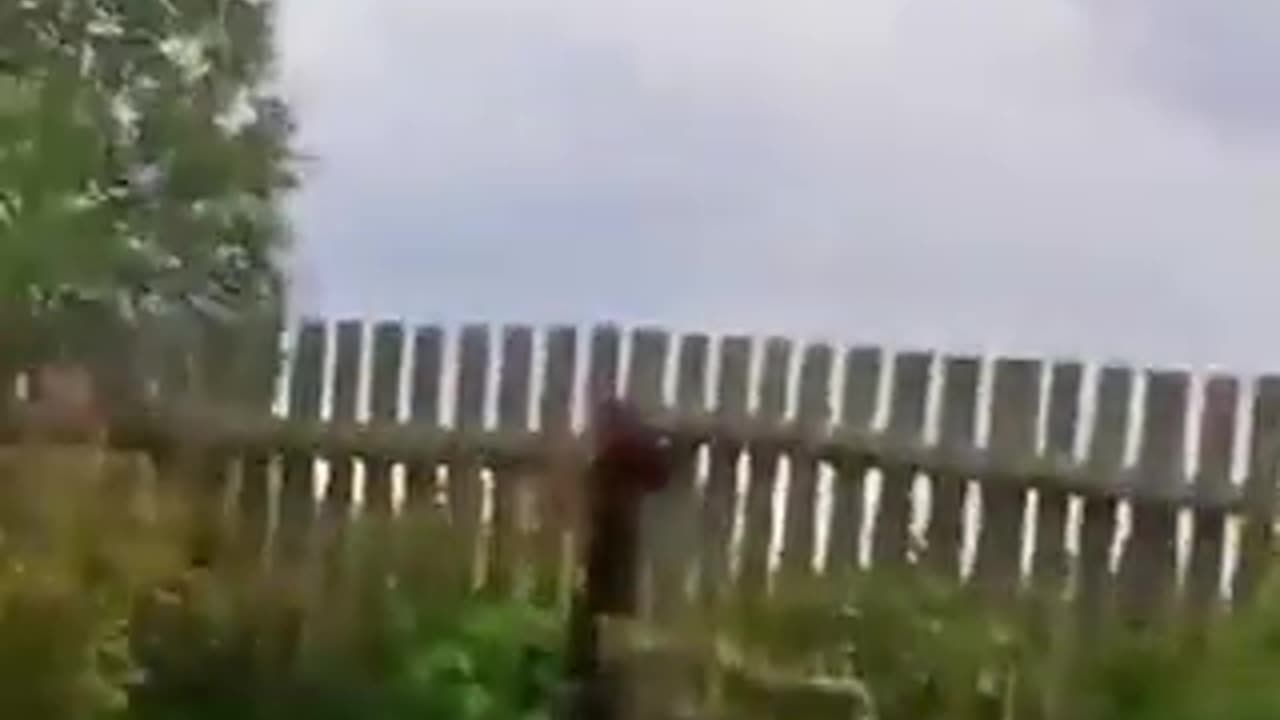 Rocket