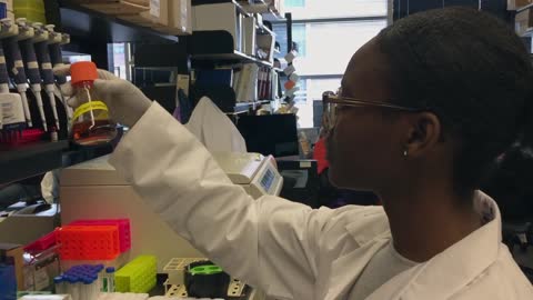 2019 COVID-19 Vaccine footage - NIAID’s Vaccine Research Center (VRC) | NEWS-19