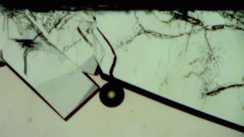 Microscopic Structures Are Becoming More Complex - Another Human-Kind Grows Inside People