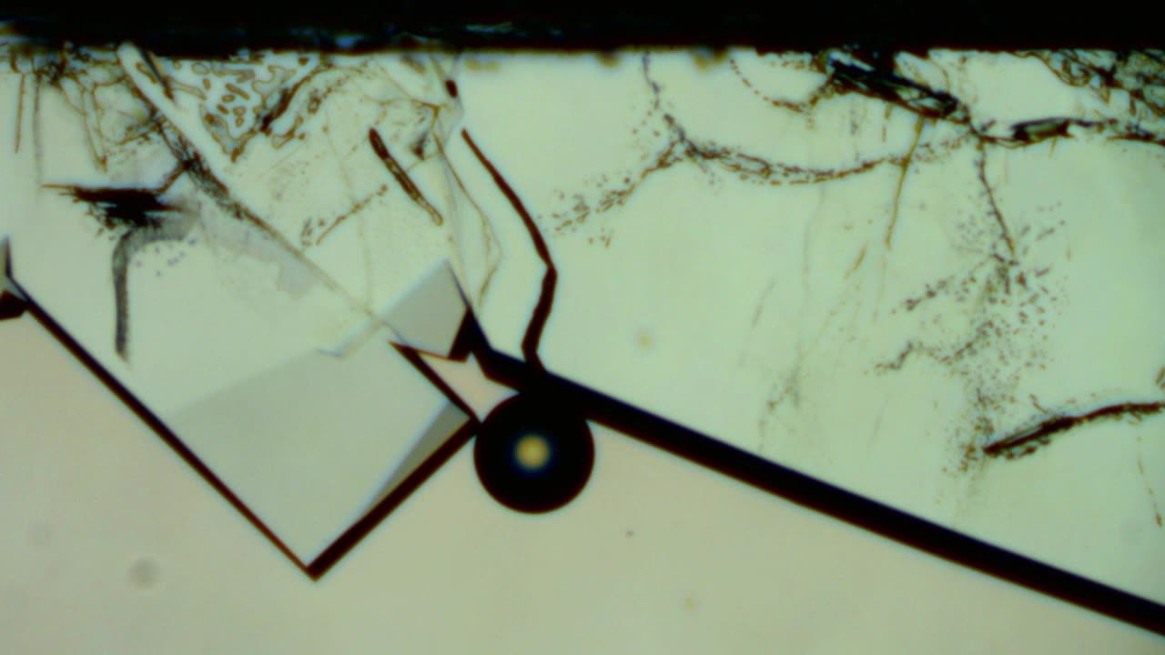 Microscopic Structures Are Becoming More Complex - Another Human-Kind Grows Inside People
