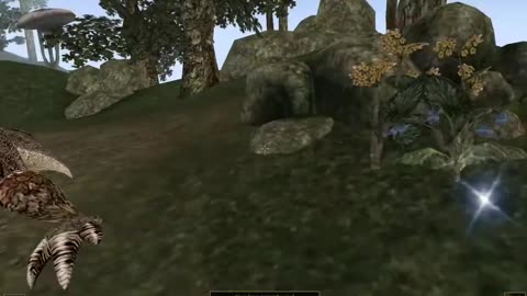 Four Types of Flowers Quest Walkthrough - Elder Scrolls Morrowind