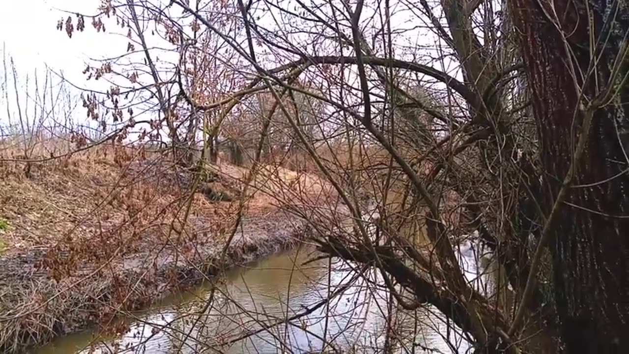 Аня найкраща.