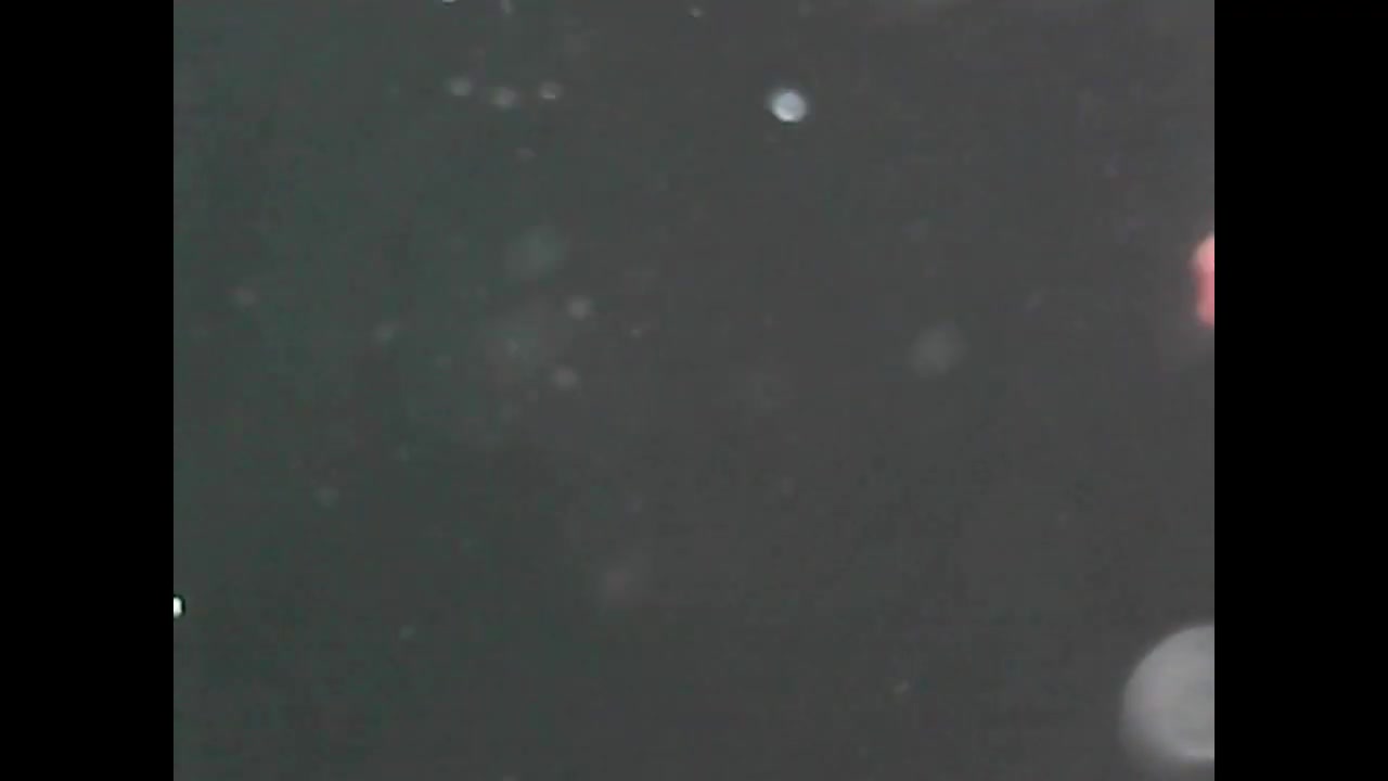 A Underwater Look At Brook Trout Ice Fishing..No Hook