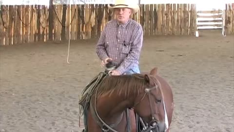Learn How To Teach Your Horse To Back Up, Both On the Ground AND in the Saddle Bryan Neubert