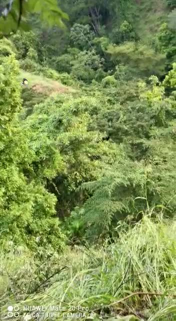 Un bus intermunicipal cayó a un abismo en la vía Bucaramanga - San Alberto
