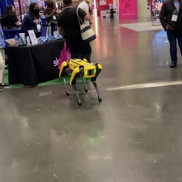 High tech robot dog