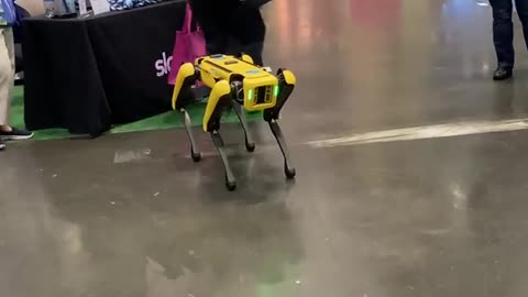 High tech robot dog