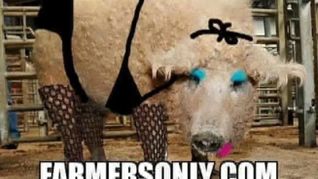 Matt Connarton Unleashed: Farmers Only