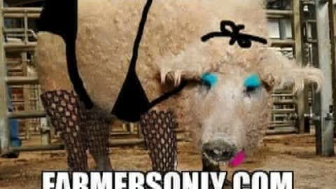 Matt Connarton Unleashed: Farmers Only