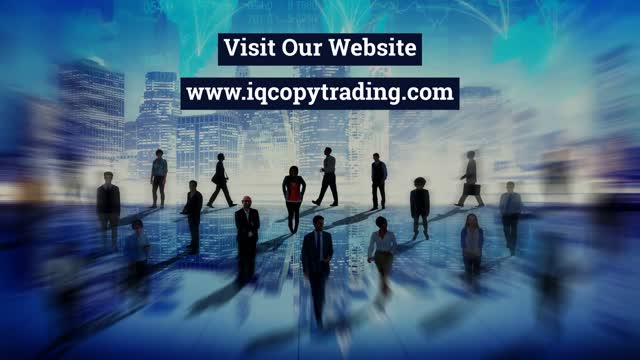 Copy Trading Brasil